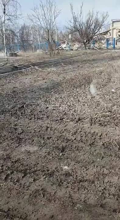 ������� �������: ��� ��� ������ � ���������� �� ��� ������ �� ��������, ������, ������ ������, ������ ��������