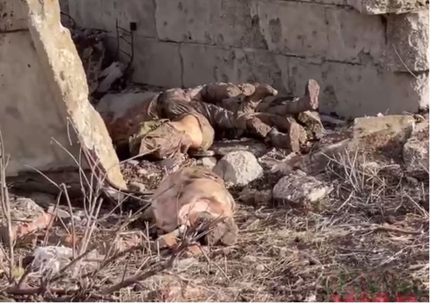 ���� ���������: �������� ������, ��� ����� ��� ����?