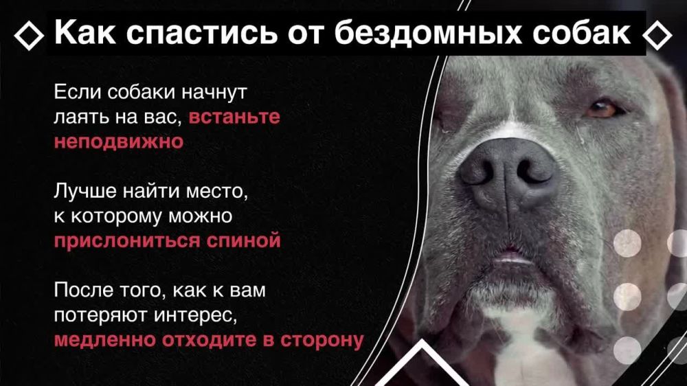 ������� � ���������� �������� ����� ���� �������