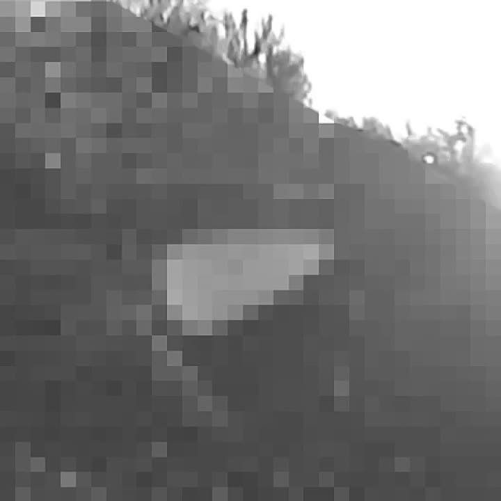 ������� �������: ����������� � �������������� ������ �����������