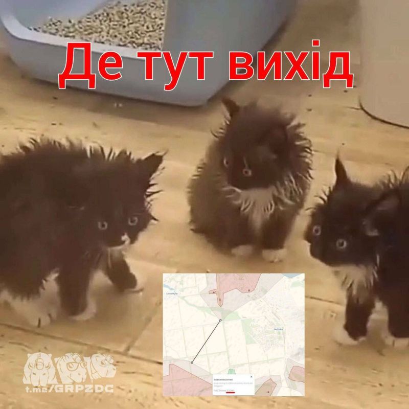 ��������� ������� � �������� � �������� � ������ ���