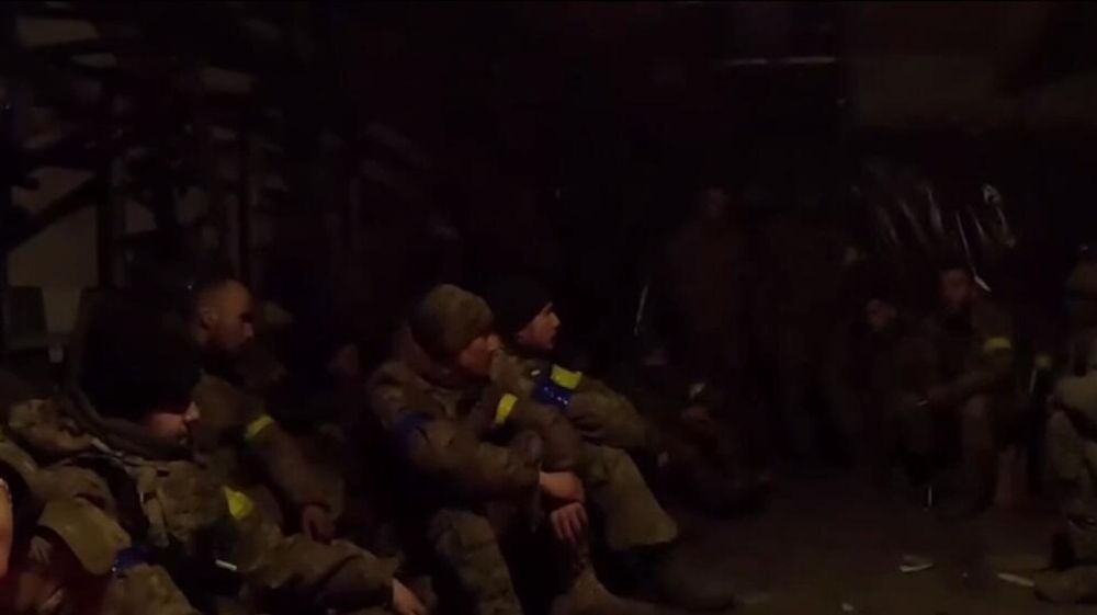 ������ �� ���������� ��������. ������� �� ������� �� ���� 17 �������