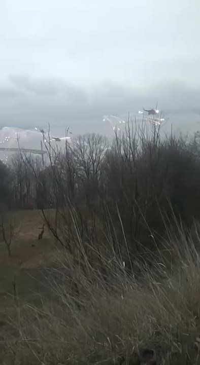 ����� ��������: ���� ������������ ��������� ������� ������� ���������� � �������� �� ��������