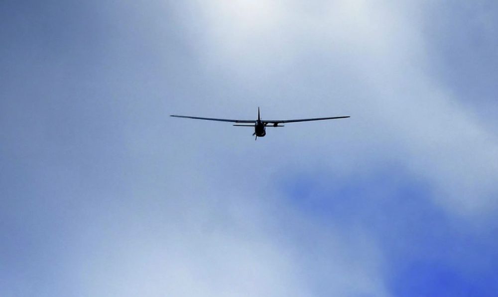 ������� � ����� ����:. ���������� �������� � ��������� � ����������� 33 ������������� ���������� ���� �� ����. ���� �������� ��������� ���������, �����������, ��������, ������������ � ������� �������