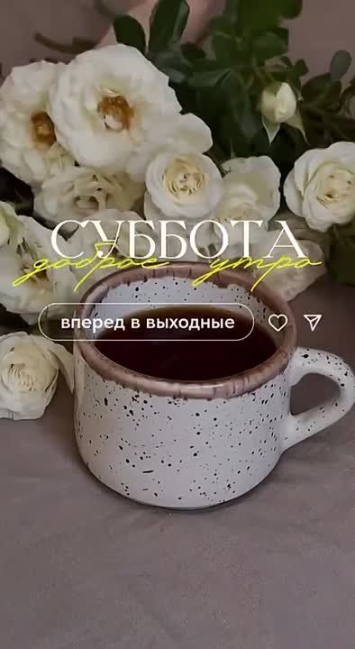 ������ ����!. ������� ��������! ����������� ���� �������������
