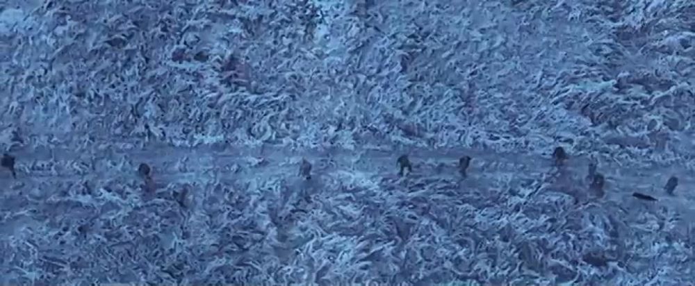 ����� ����� ����� ��������� � ���������: