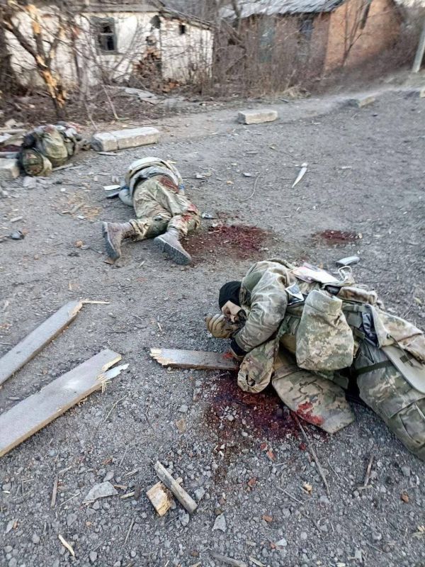 ������ ��������: ��������� � ��� ���������� ����� ����� ������������ � ���, ��� ��� ��������� ����� ����� �������� ������� ��������, ������ ����� ������� ������ ���������������