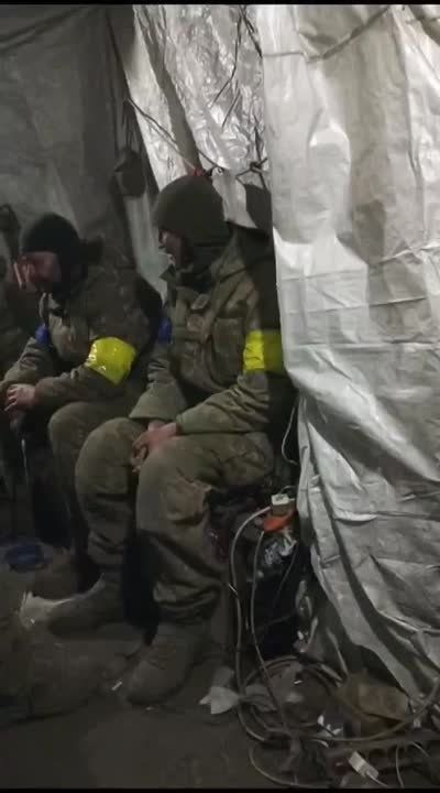 ������ ����������: ��������, ����������� � �������, ������ ���