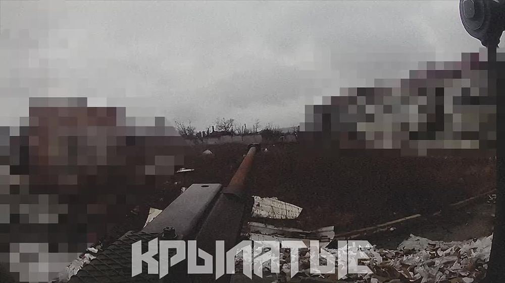 ����� �����: ����������� �����������