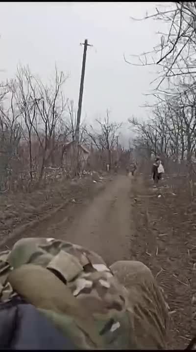����� �����: ��������, �����������, �� � �������, ����� ������ ������, �������� � ����� ���������� ������ 35 �������