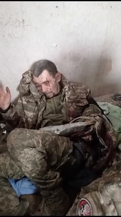 ������ �������: ����������� � �������� ��������������� 74 ��������� ����������� �������������� ������� �� �� ������� ������� ���������� ������������