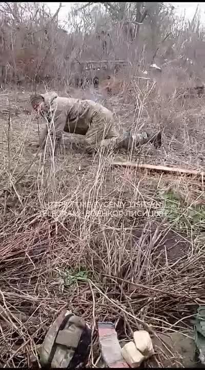 ������� �������: ������� � ������ ����������� � ��������