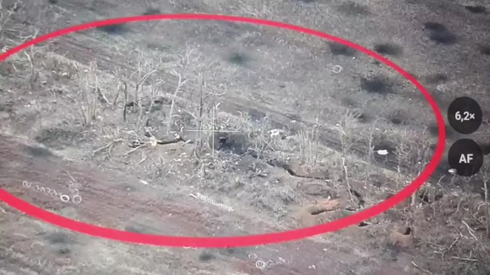 ������ �������: ���� ����� ���������� ��������� ���������� ��������� ������� � ����������� ���������