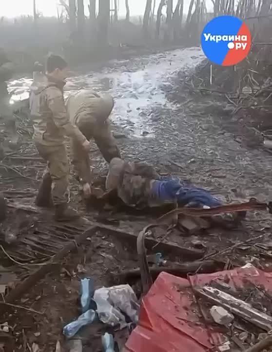 ������ ���������� �������, ������ � ��������, �������� ��� ���� � ��� �������� � ����� � ���������, ��� ������ � �������
