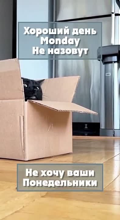 ������ ����!. ���� � ������� ����� ������! ����������� ���� �������������