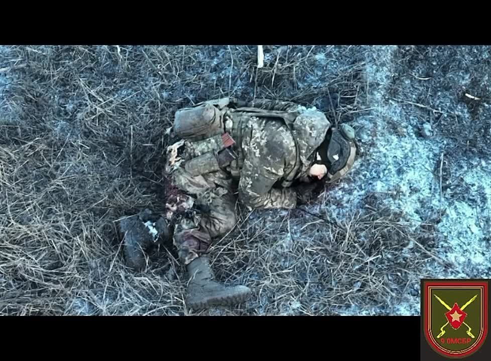 ����� �� ������ ��������: 9-� ������� ���������� ����� �������� ��� � �������������