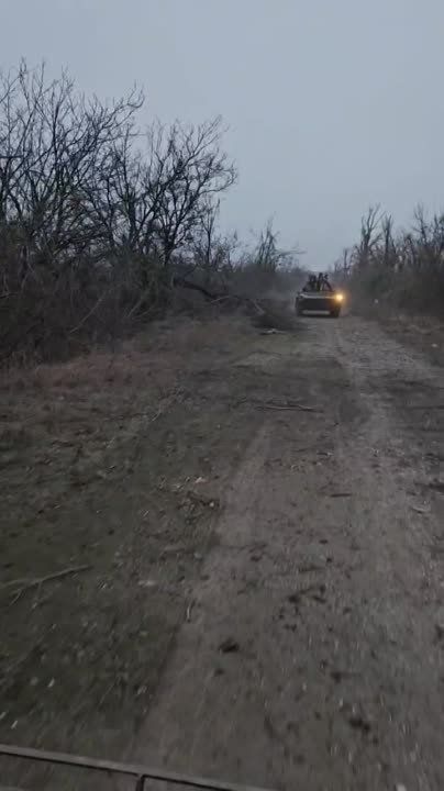 ������ ��������: ���������� �� ��� �������� � ����� �����