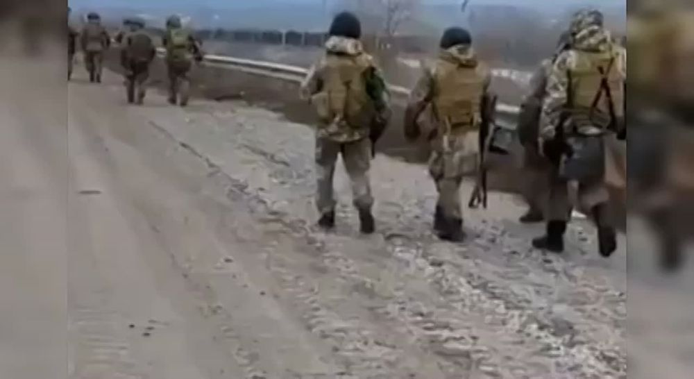 ������ ����������: ���������������� � ������������