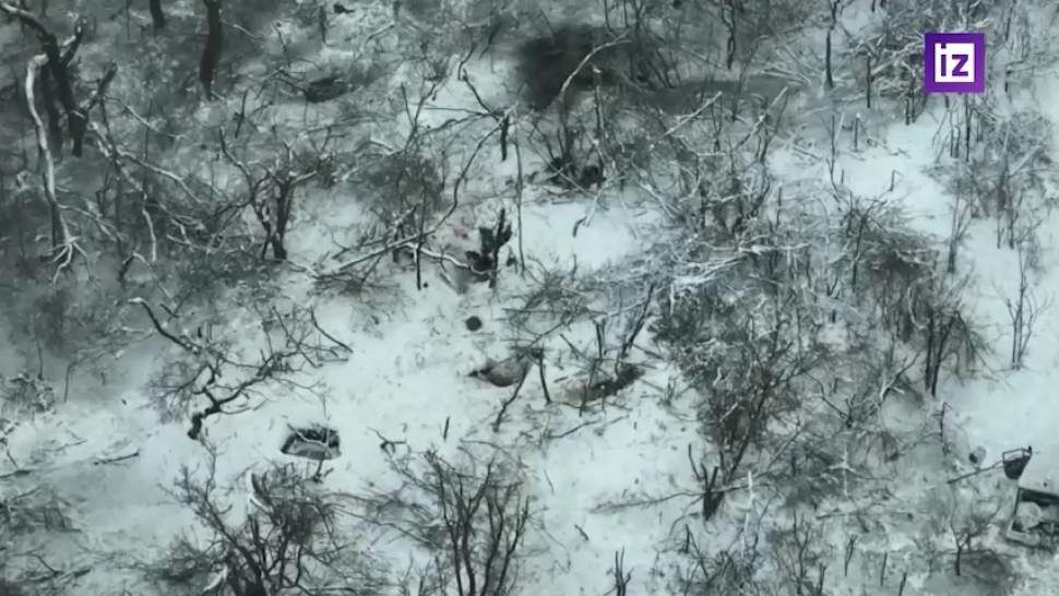 ����������� ���������� ������� ����� ��������� ��� �� ����������� �����������