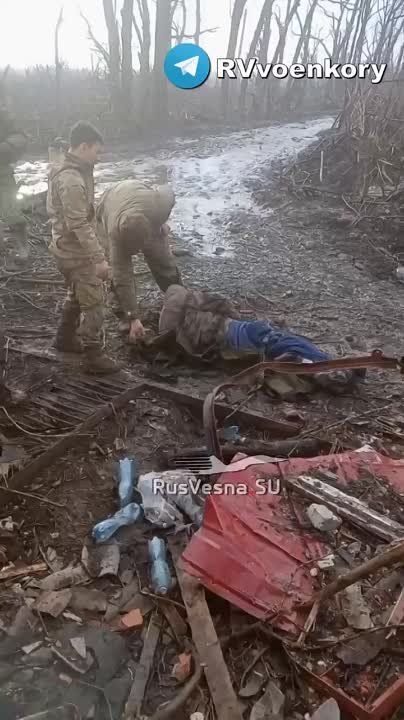 ����� ���������: � �������� ���������� ��������������, ���� �������