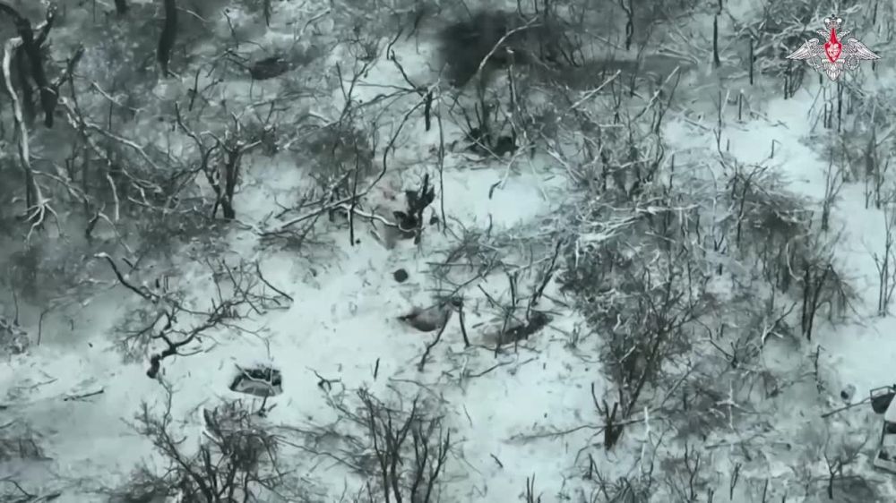 ���� �������: ����� ����������� �������� � ������-������ �� �������