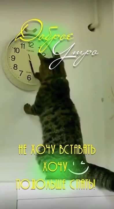 ������ ����!. ���� ����������� ���������� � ���� �������� ����! ����������� ���� �������������