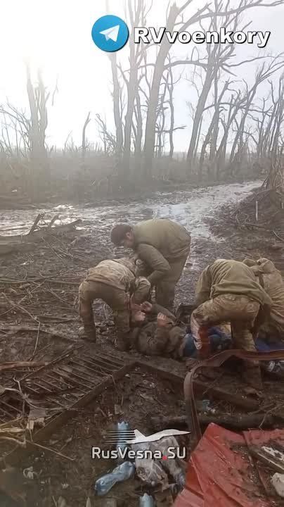 ������ ����������: ����� ��������� �� ����� ������� �� ��������, �������, ���������, � ����� ������� ��� ������ ����������, ������� � ���� � �������