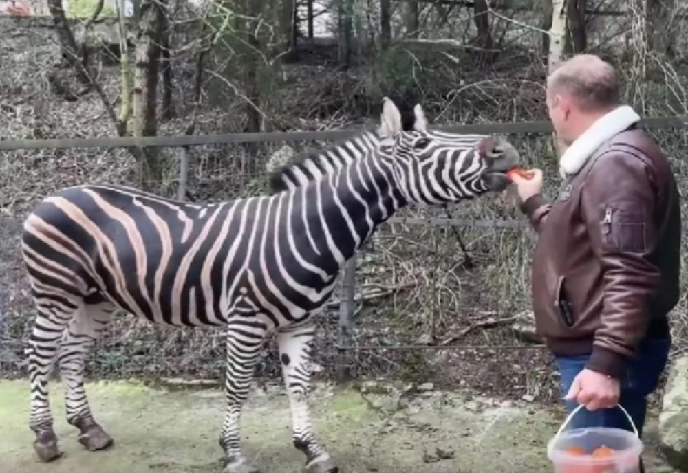 � ����� ����� �� ��������� ������� �������