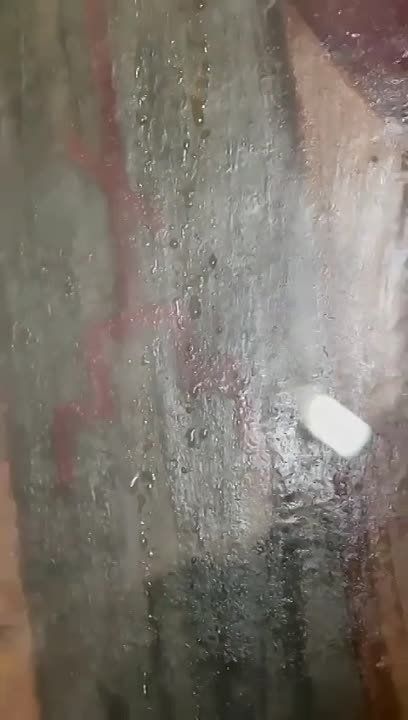 ���� �������: � ���� ������������ �������� ����������� ������ �����������