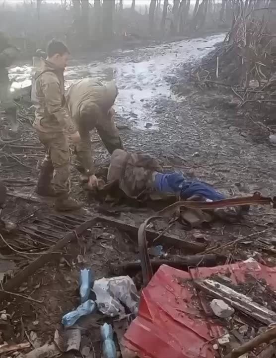 ������� ���������: ������������� �����. ���������� ������������� �������� ����, ��� ��� ��� ����� �����������