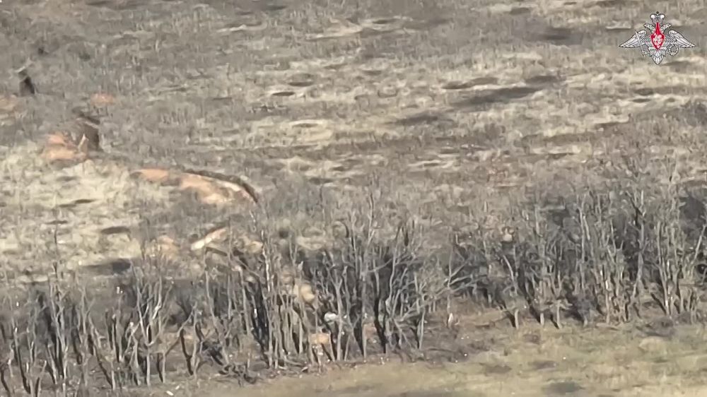 ������ ��������� �������: ������� FPV-������ ��� ���������� ������������� ��� � ������� ��� �����������