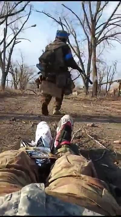 ������ �������: ������� �������� �� ������ ����������� ������ � ���� 3-� ��������� ������� �� ��������