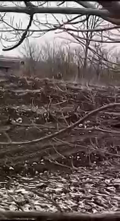 ��������� ���������� ������� ������� ��� ���� ���������� ����