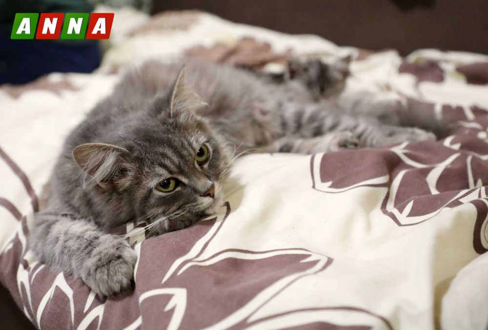 Фотографии работы бойцов добровольческой разведывательно-штурмовой бригады «Невский», выполняющие задачи на участке фронта Соледар-Бахмут