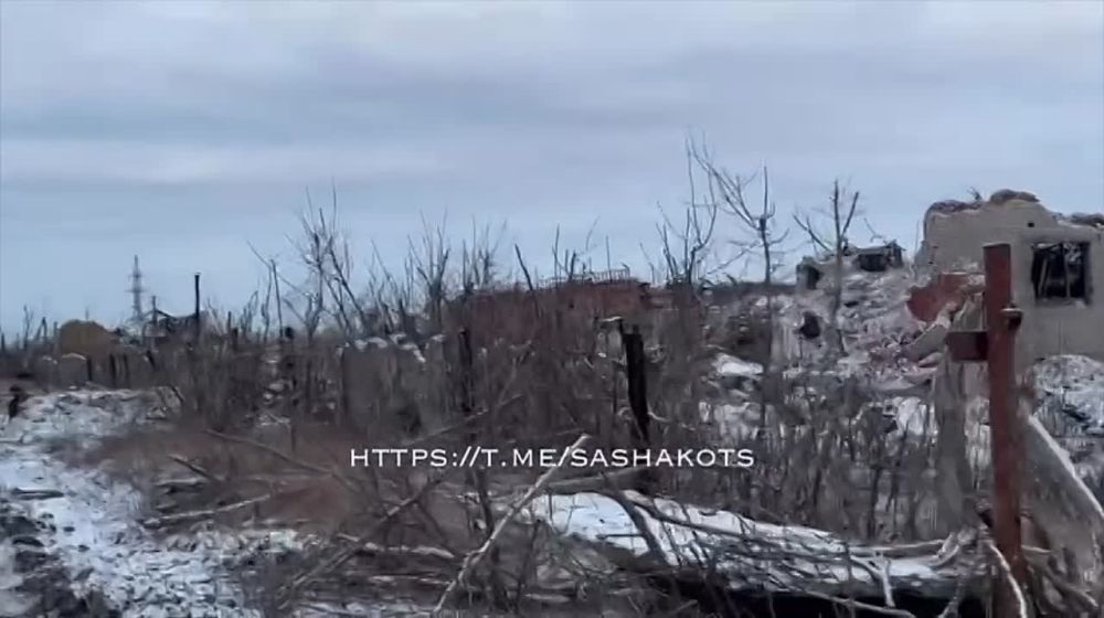 ��������� ���: ���������� ������ ������ �������� ���