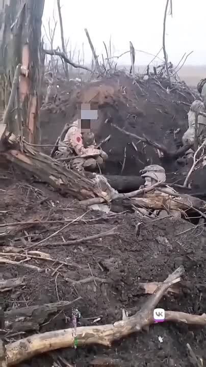 ����� ���������: ��� ��� �����, ������� ����� �������� ������ ����� ���������� ������� � �������� ��� ������� �� ������