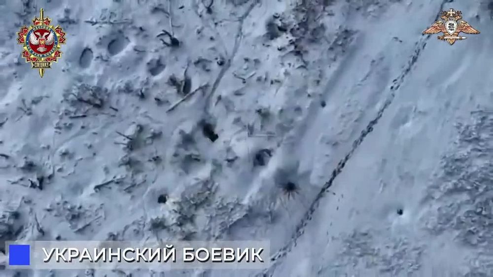 ���� �������: ����������� ������� ������� ������������ ��� ������ ����