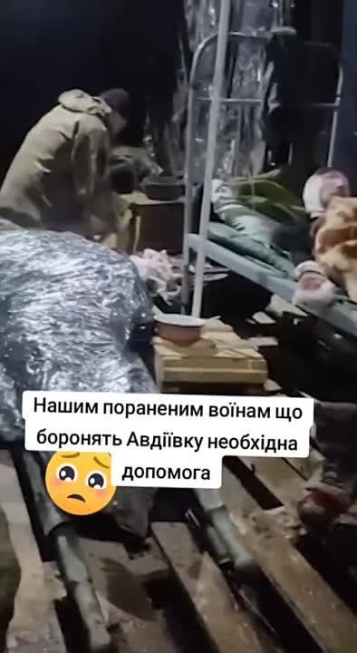 ������� ���������: ������� ���������� �������� � �������� � ���� �����