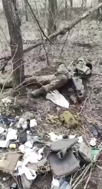 ��������� �������: �� ���������� �������� � �������� � ������������ ���� ��� ���������� �������������� � ������� �� ����� ����� ��� �����������