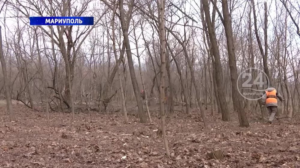 ����������� �������������� ��������� � �����