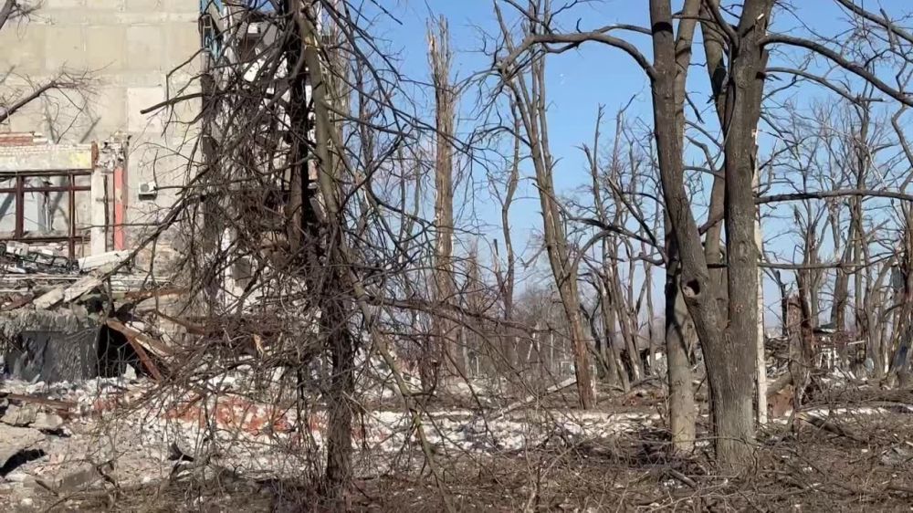 ������ �������: ��� �� ��� ���������. �������� �����