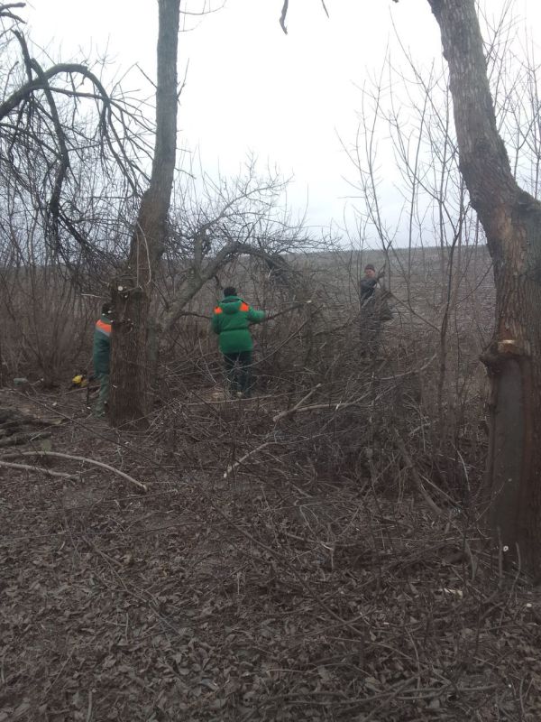 ���� �����������: �������, 22 �������, ���������� ������������ �����������, � ������ ���������� ���������� ������� ���������� ����� ������������� ������������ ������ "������ ������", ������� ������� � ����� ������� ������� � �. �������