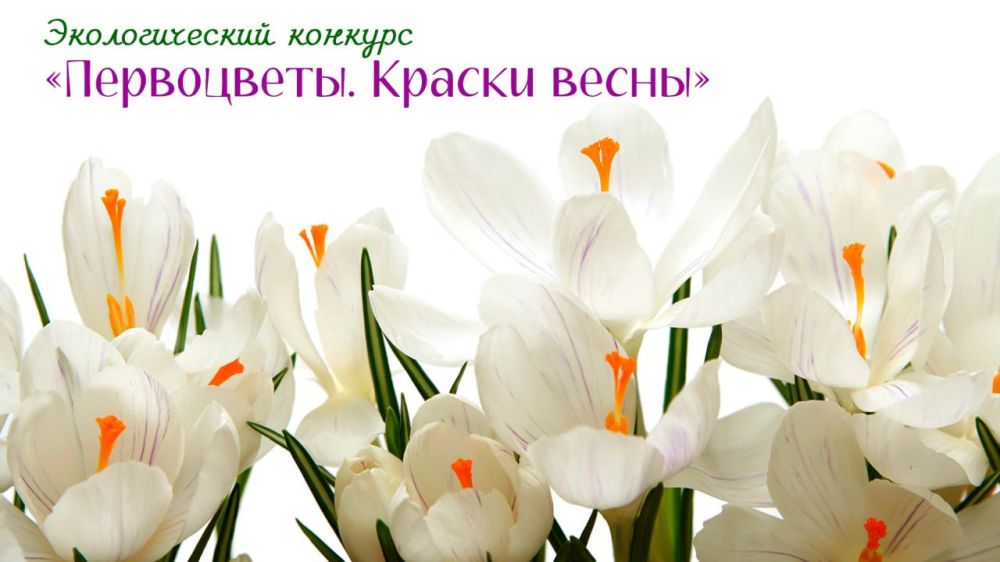 ����������-������������� ���� ��������� ���� ��������� ����� �������� �����������. ������ ������