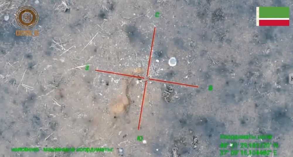 ������ �������: ���� ����� ���������� �������� ������� ����� �������� ������ � ����������� ���������