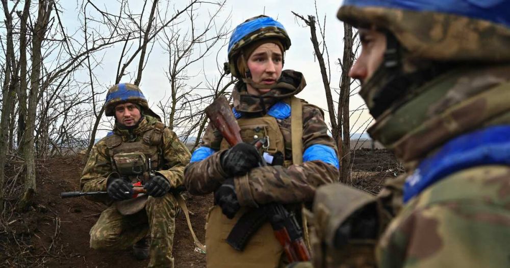 ������� ������� ������: ��� ���� ����� �� ���� ���������� ������