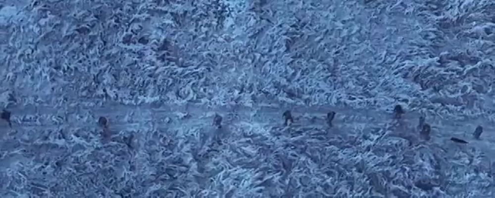 ������� �� ����� �������� ���� �������� ������������� � �������� ���� ������� �� �� ������ � ������������