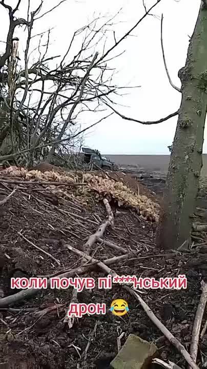 ������ �������: �������� ������� fpv-������ ��������������� Iveco LMV �������� 33 ��������� ���������������� ������� ���������� ������������