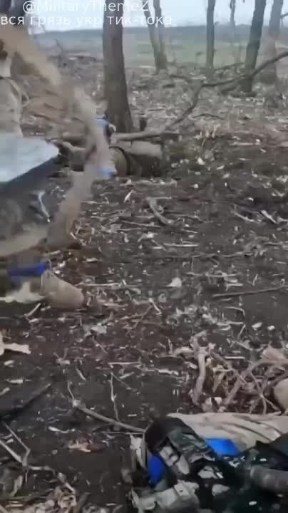 ������ ����������: ��� ���� ����� �������� ����������� ������� ��������, � ����� ���������� � �������� �������������� ������ � ��������, ��� � ����