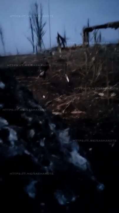 Александр Коц: : самые звонкие события уходящего дня