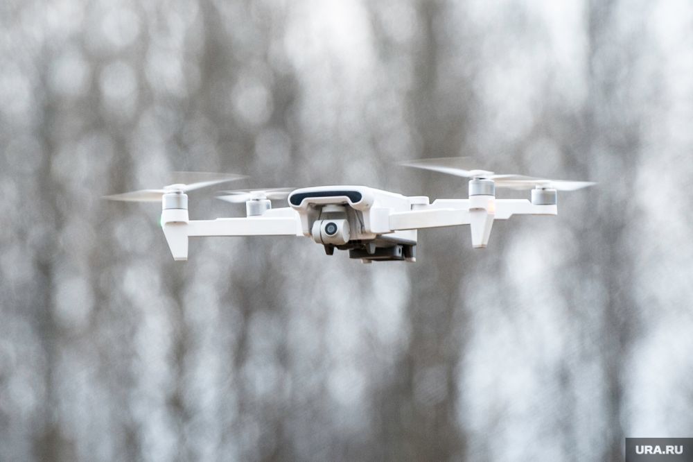 ���� ��������� �� ������ ���� � �������: ����� ������������ �� ������� �� 24 �������